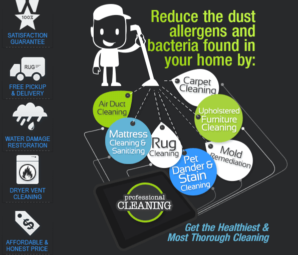 Allergen Dust Removal Treatment