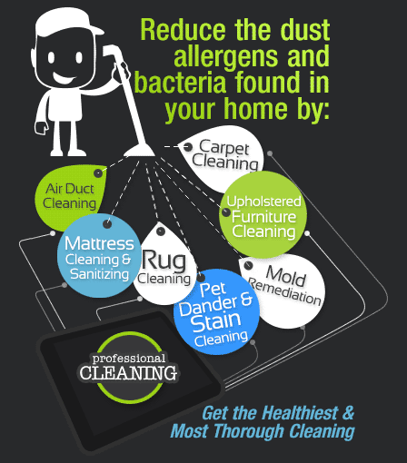 Allergen Dust Removal Treatment